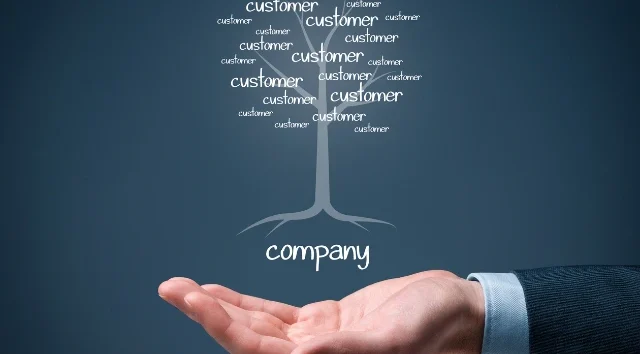 The Entrepreneur's Guide to the Ontario Registrar of Companies