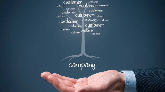 The Entrepreneur's Guide to the Ontario Registrar of Companies