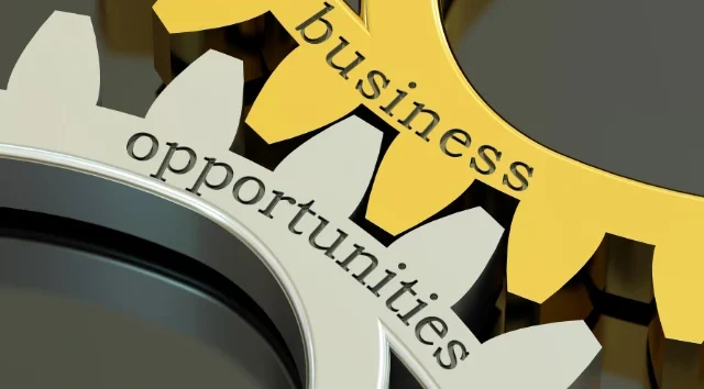 Business Opportunities for Small Businesses and Startups