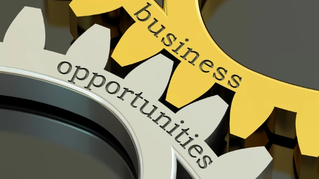 Business Opportunities for Small Businesses and Startups